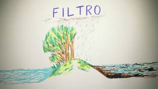 Floresta e Água