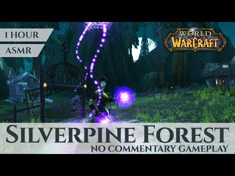 Vanilla Silverpine Forest - Gameplay No Commentary, ASMR (1 hour, 4K, World of Warcraft Classic)
