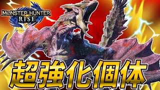 【大剣】鬼強化されたヌシリオレイアの火力がマジでヤバイ【モンスターハンターライズ】