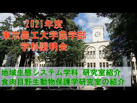 東京農工大学農学部地域生態システム学科 2021学科説明会 食肉目野生動物保護学研究室の紹介