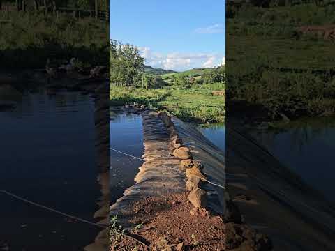 No sítio!Interior de Crissiumal-Rs!#riograndedosul #vidanointerior #sitio