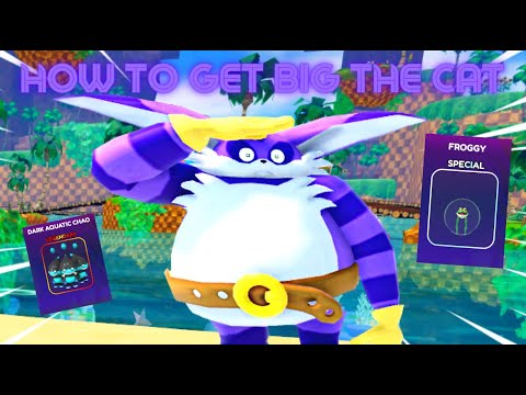 HOW TO GET BIG THE CAT IN SONIC SPEED SIMULATOR FAST (Tips and tricks)