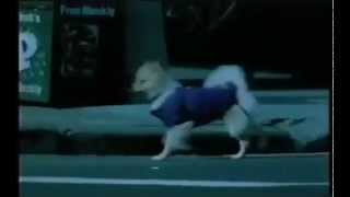 80s music - Jocelyn Brown - Somebody Else's Guy [Extended - HQ]