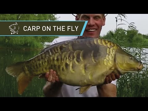 Carp Fishing with a fly rod on Church Pool - Nash Imitation Riser Bugs with Alan Blair - Kevin Nash