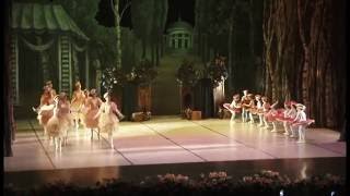 Akademi Sanat Merkezi - Bale " Bir Orman Hikayesi "