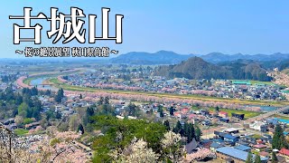 角館お花見登山