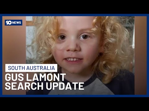 Police Make Unrelated Arrest For Firearms Offences During Search For Gus Lamont | 10 News