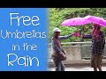 Free Umbrellas in the Rain - Random Acts of ...