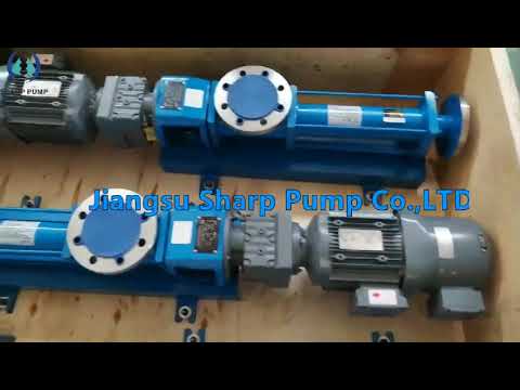 seepex type BN5-6L pump