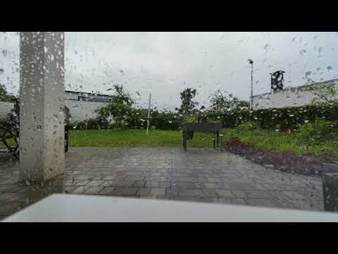 Timelapse Garten 2024 06 01