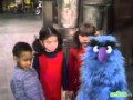Classic Sesame Street Herry Monster Kids Front Back