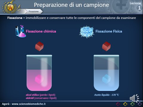 Istologia 01 - Nozioni di microscopia e preparazione dei campioni