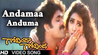 Govinda Govinda Movie | Andamaa Anduma Video Song | Nagarjuna || Sridevi || shalimarcinema