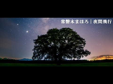 常磐木まほろ - 夜間飛行