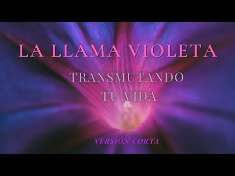 LA LLAMA VIOLETA💜 TRANSMUTACIÓN  Y LIMPIEZA DEL KARMA (MEDITACIÓN)