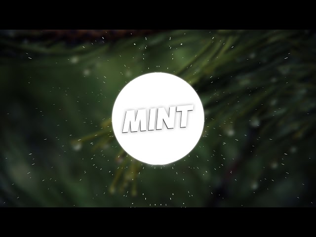 Smarnav – Mint (Remix Stems)