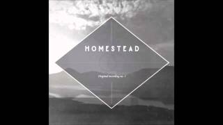 I Ain't Coming Home by Homestead