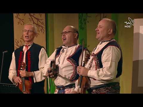 CM Lipka Ostrava - Zasadil jsem čerešenku v humně