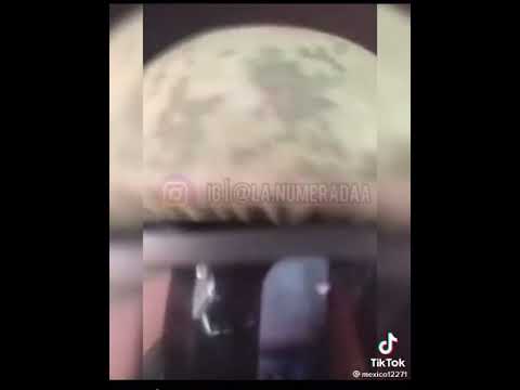 los sicarios de joaquin pistoleros del vago