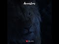 Ancestors Lion King Whatsapp Status Tamil Shorts Lionking Simba Mufasa