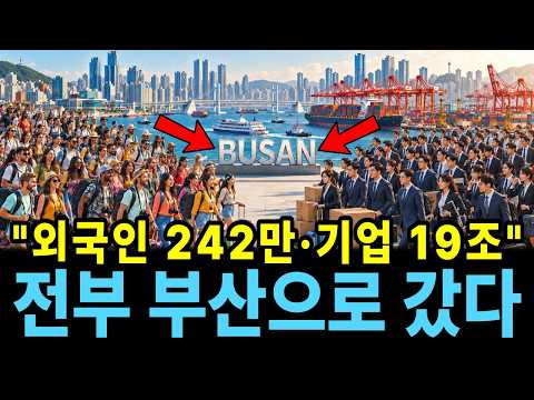 "이제 서울 아니라 부산입니다" 외국인도 대기업도 부산으로 몰리는 진짜 이유