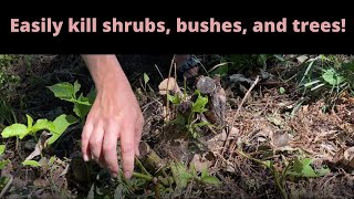 How to kill shrubs, bushes and trees the easy way |Flower Fanatic