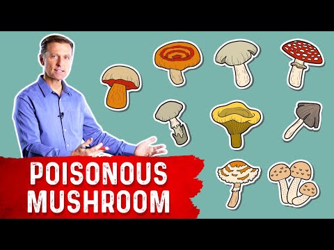 Dr Berg Explains What Makes you Feel Sick Despite Eating Healthy Food