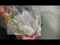 Unboxing A Pomegranate Delayed In Transit