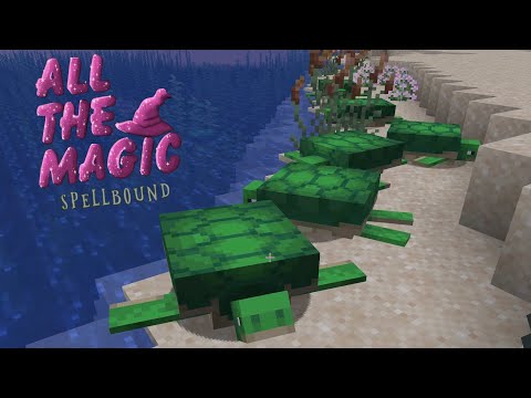 Entertainment Value - Tetra And TURTLES! | ATM : Spellbound | Let's Play EP 2