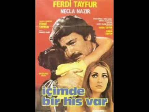 ONU YİRMİSİNDE TANIDIM--Ferdi Tayfur--YALNIZ EFE