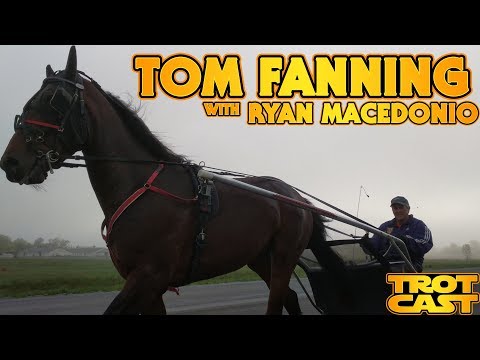 TrotCast Tom Fanning: Two Year Olds In Training #horseracing