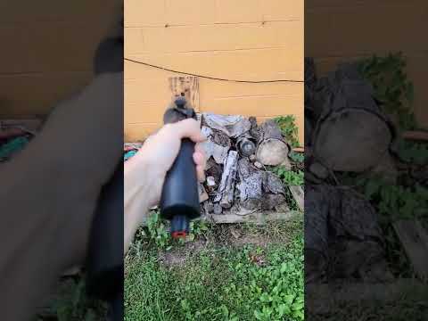 Umarex HDS68 T4E All Mods Full Power 3 types ammo shots fired!