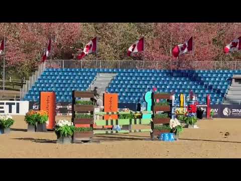 DAKITO P video 2