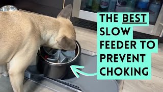 Prevent Choking! BEST Slow Feeder for Your Dog!