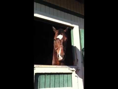 Odessye settling in at Emerald J