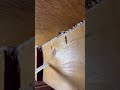 Squeaky Floor Fix! Few Simple Steps! #diy #tools #construction