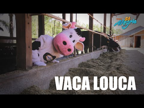 Grupo Só Alegria - Vaca Louca