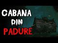 Cabana Din Padure Povesti De Groaza CREEPYPASTA