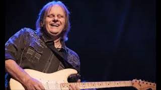 Walter Trout-She Listens To The Blackbird Sing