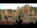 Осенний пейзаж 5 - Песня покоя 