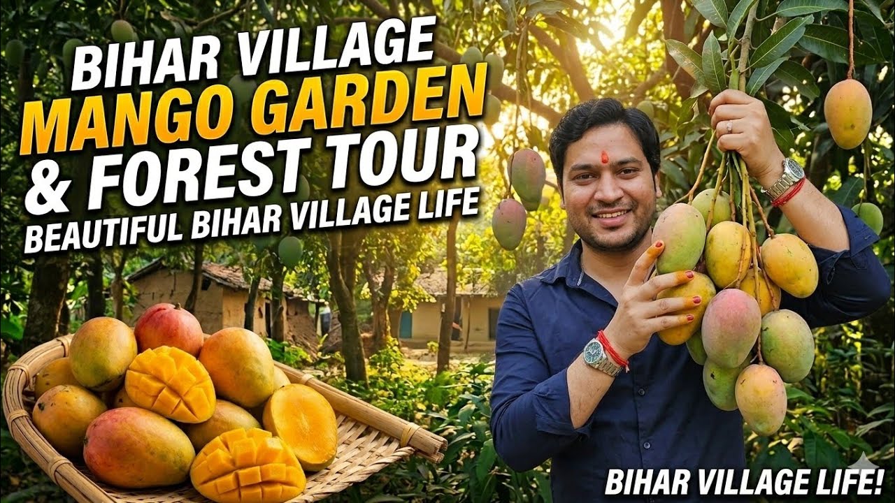 Bihar Village Mango Garden & Forest Tour | Beautiful Bihar Village Life