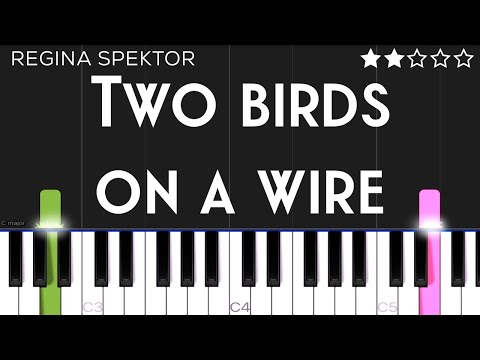 Bird Of Song - Water Liars