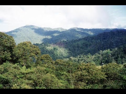 LOS RUTILANTES GUARANIES CANTA EL DUO: MUJICA - OJEDA