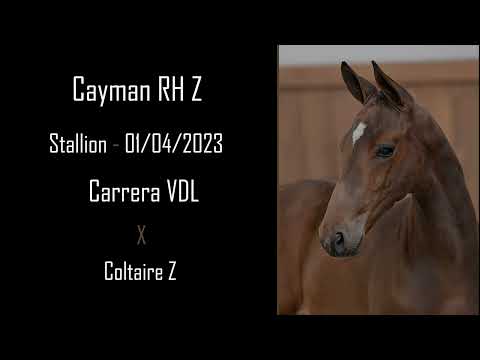 Cayman RH Z
