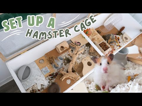 Set up a 6ft Hamster Cage with me! 🐹