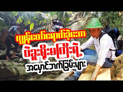 #Darkside of Bago Yoma#deforestation#timber smugglers#myanmar adventure traveler