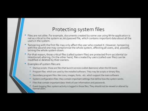 Learn Linux from Scratch File Management
