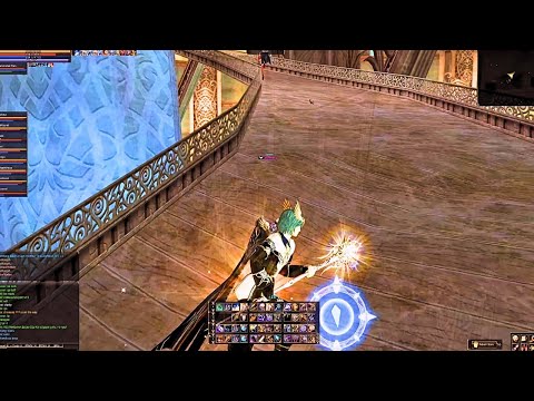 Lineage 2 Reborn 1x Teon C5 - Stormfang Soultaker POV