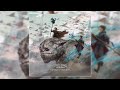 Yutaka Yamada - THE ONE (Chapter I)