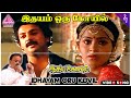 Idhayam Oru Kovil (Solo) Video Song | Idaya Kovil Movie Songs | Mohan | Ambika | Radha | Ilaiyaraaja